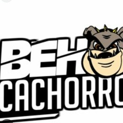 DESSE JEITO QUE TU OLHA - DJ FELIPE SANTOS DJ BEH CACHORRO 2024