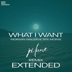 Morgan Wallen feat. Tate McRae - What I Want (Jei Lune Remix EXTENDED VERSION)
