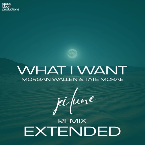 Morgan Wallen feat. Tate McRae - What I Want (Jei Lune Remix EXTENDED VERSION)