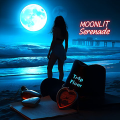 Moonlit Serenade