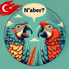 Tanışma - Meeting with someone ( A1 )