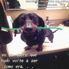 eu cuido de vc! <3 (eu tento ser normal.)