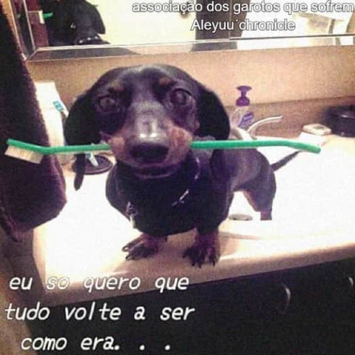 eu cuido de vc! <3 (eu tento ser normal.)