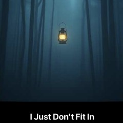 I_Just_Don’t_Fit_In