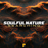 Soulful Nature - Indifference