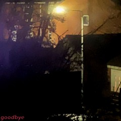 goodbye (instrumental)