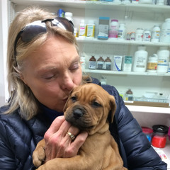 The Story of the Beagle that Got Kicked Out of 5 States