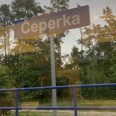 поле