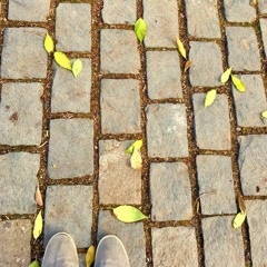 Pisadas (versión para flauta y electrónica)