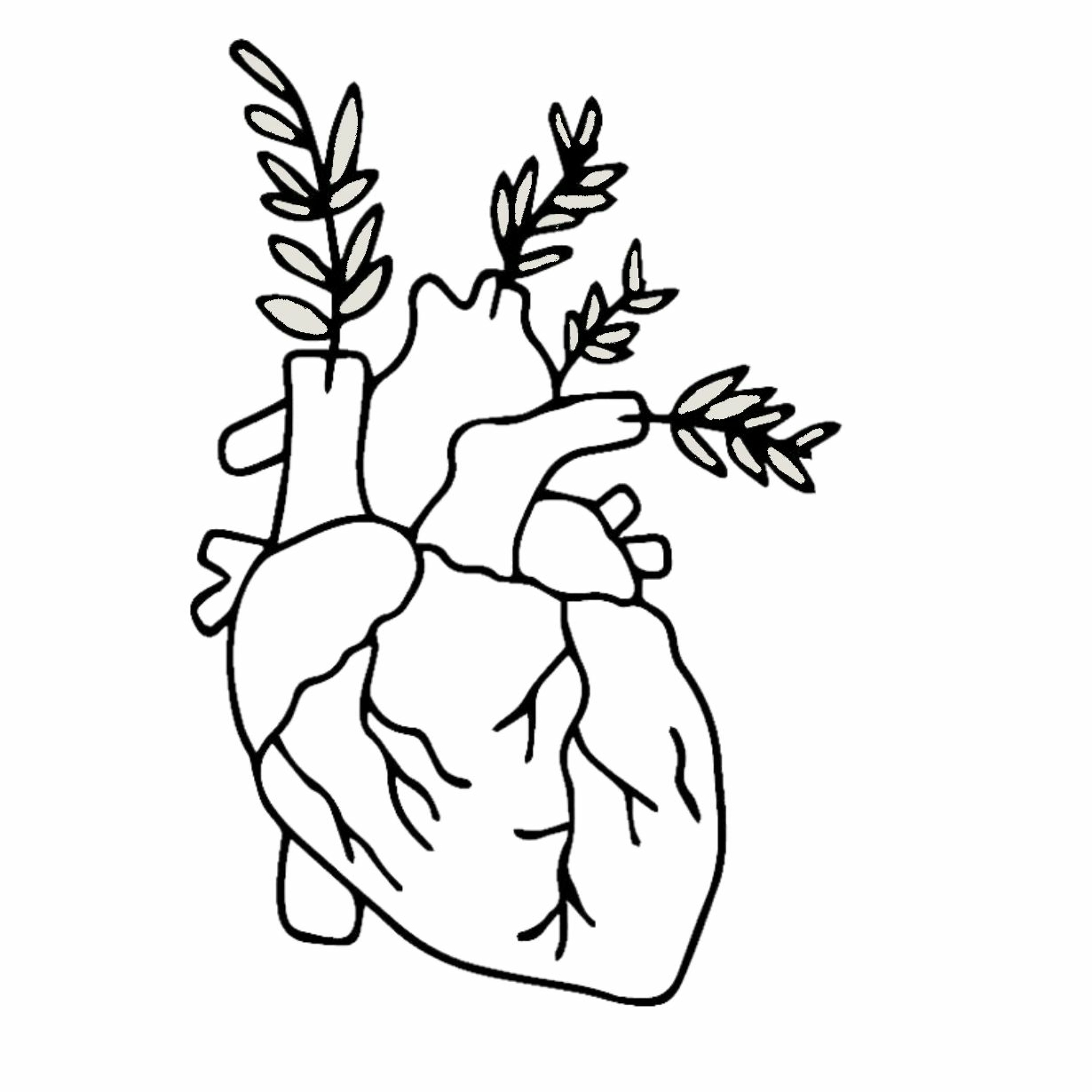 Caring For Our Heart - Session 4 of 4 thumbnail