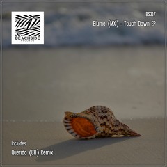 Blume (MEX) - Touch Down (Original Mix)