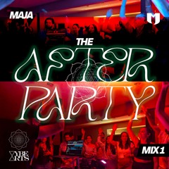THE AFTER PARTY MIX 1 - 60 min
