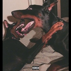 Talk, Chill & Fuck