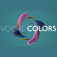 NI - Vocal Colors - Demo