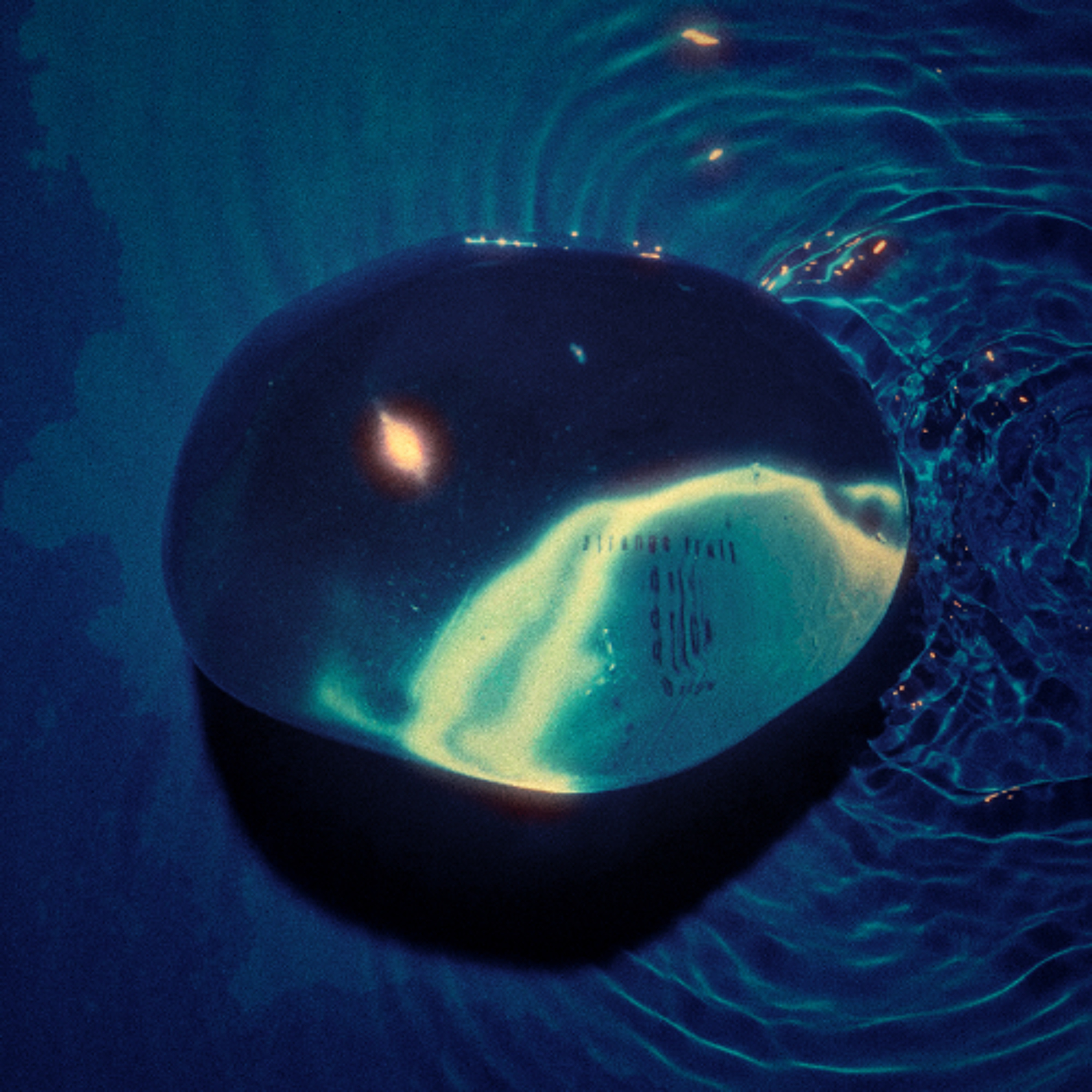 PREMIERE: Strange Fruit - Pouvoir Moteur [Gentle Tuesday]