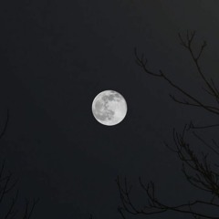 type solo - 1000 проблем