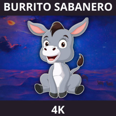 El burrito sabanero X 4k (DJ FELIBOX) I FREE DOWNLOAD