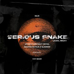Abstract Detail - Serious Snake @ Kivi Baar Mixtape