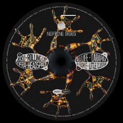 Various Artists - Neptune Discs Vol.10