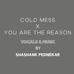 COLD MESS X YOU ARE THE REASON | MASHUP COVER | SHASHANK | PRATEEK KUHAD | CALUM SCOTT