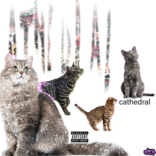 track 3 ##cthl