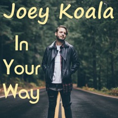 Joey Koala - In Your Way
