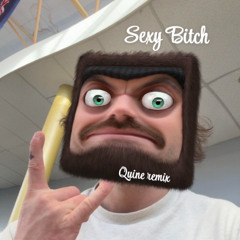 Sexy B...tch ( QUINE REMIX ) Skip to 40sec in ( Due to copy right )