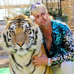 I Saw A Tiger (Carlo P Remix)