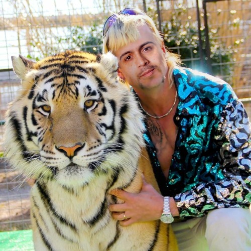 I Saw A Tiger (Carlo P Remix)