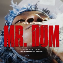 Mr. Dum