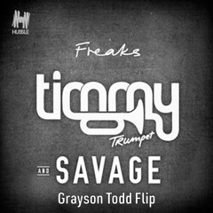 Timmy Trumpet - Freaks (Grayson Todd Flip)