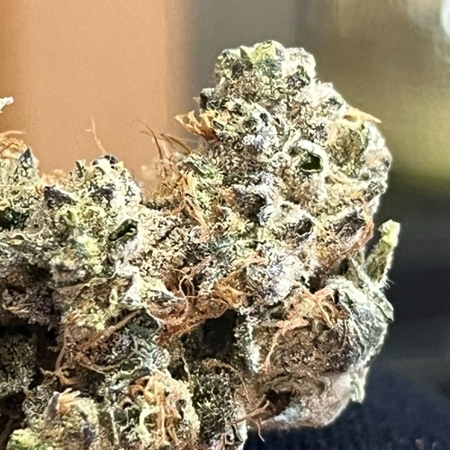 stick (prod guy beats)