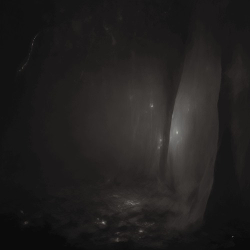 A Shimmer In The Darkness