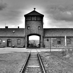 Rare Trill - Auschwitz