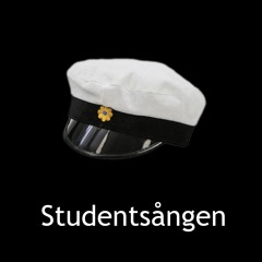 Studentsången (Remix)
