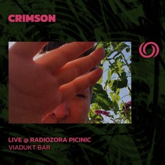 CRIMSON @ RadiOzora Picnic in Vidaukt Bar | 07/09/2024