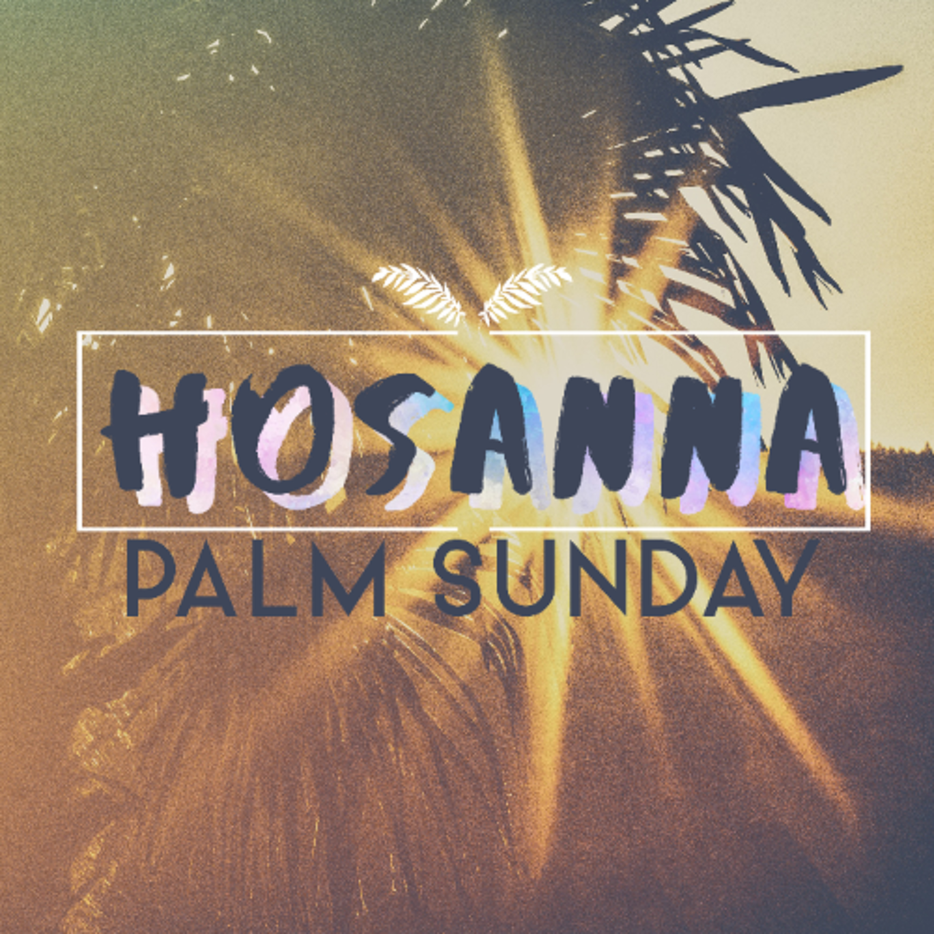 Palm Sunday // Luke 19:28-48 episode artwork