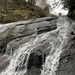 ゆとり飼う (prod.Pieper Beats)