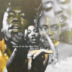 MOLIY & Silent Addy, Skillibeng, Shenseea - SHAKE IT TO THE MAX (NSO AMAPIANO EDIT)
