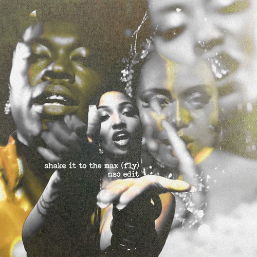 MOLIY & Silent Addy, Skillibeng, Shenseea - SHAKE IT TO THE MAX (NSO AMAPIANO EDIT)