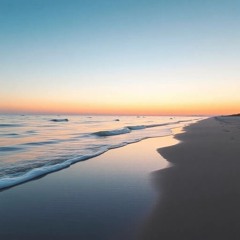 Brown Biondi Shores.mp3