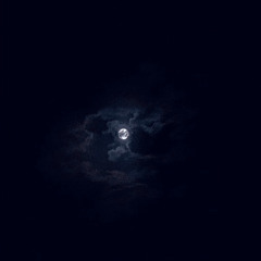 اخر ظهور
