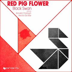 Red Pig Flower