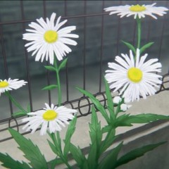 FLOWERZZZZZ (SAD CHILL RAP/HIPHOP BEAT 4 SALE) - Prxd.hghxmzk