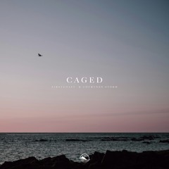 firstcoast. & Courtney Storm - Caged