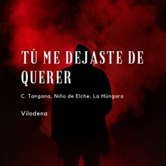 Tú Me Dejaste De Querer - C. Tangana (cover)