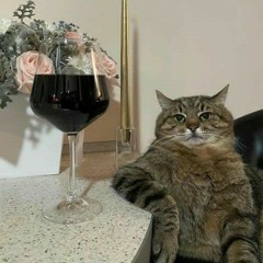 I dont wanna miss you [prod. saint urya]