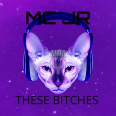 MC JR - THESE BITCHES