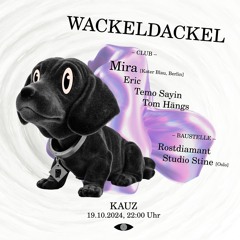 Intro Wackeldackel @ Kauz - 19.10.24