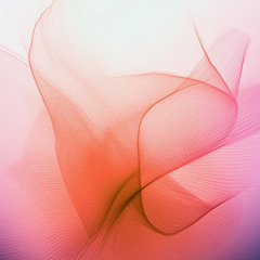 dis/re_appearance